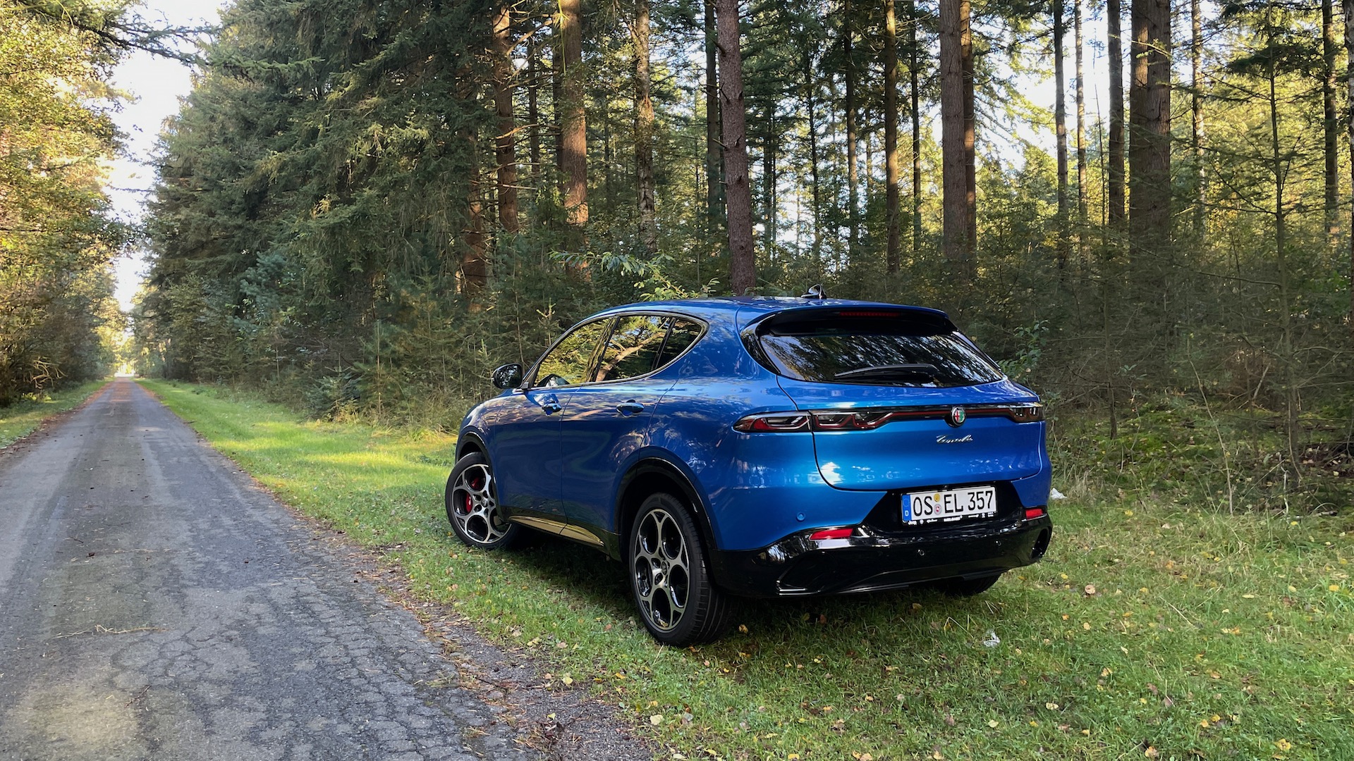 Alfa im Pilzwald