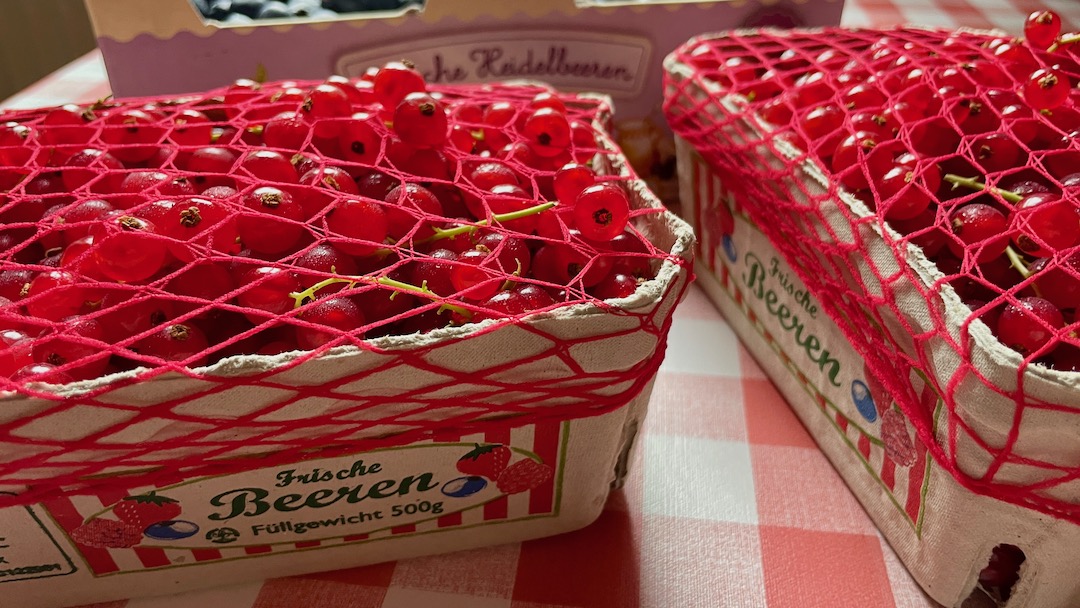 Beerennetz