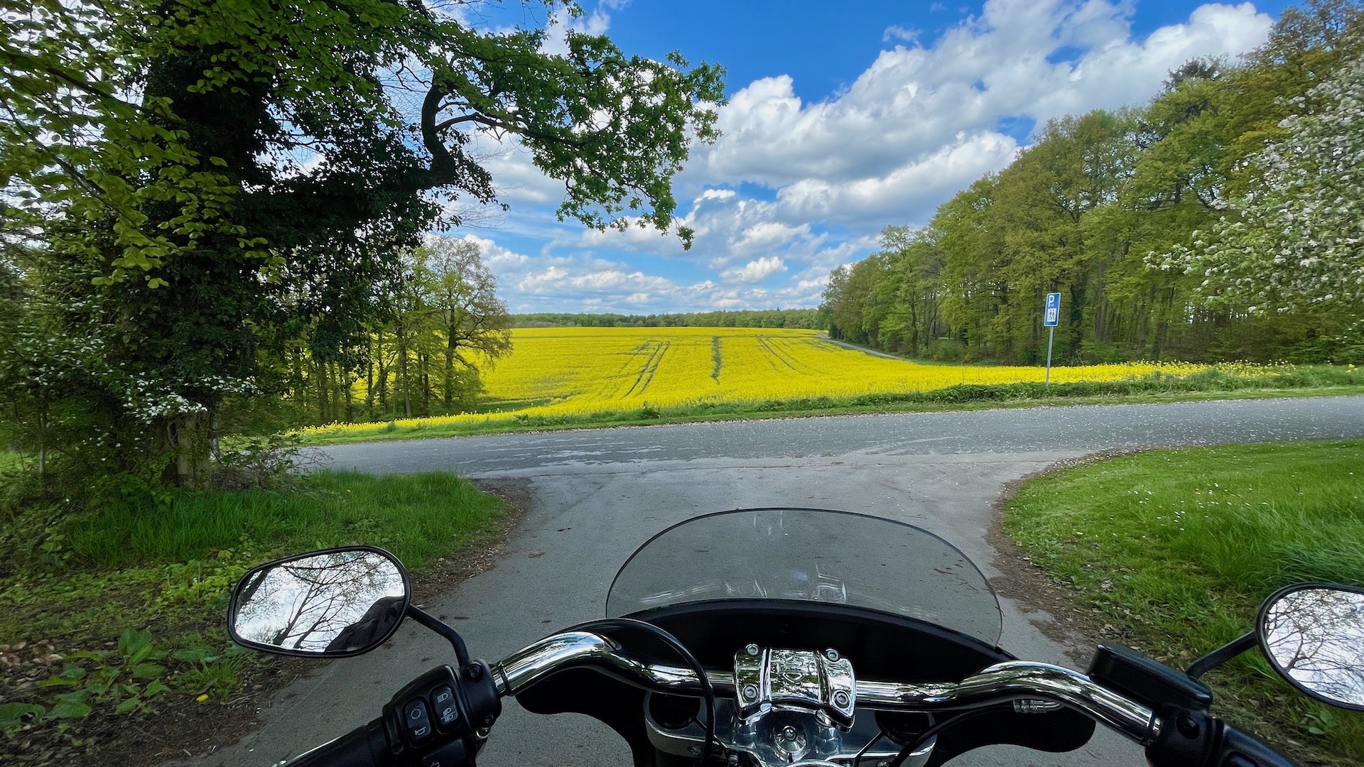 Raps in Stemweder Bergen