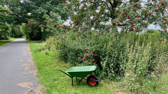 Vogelbeeren