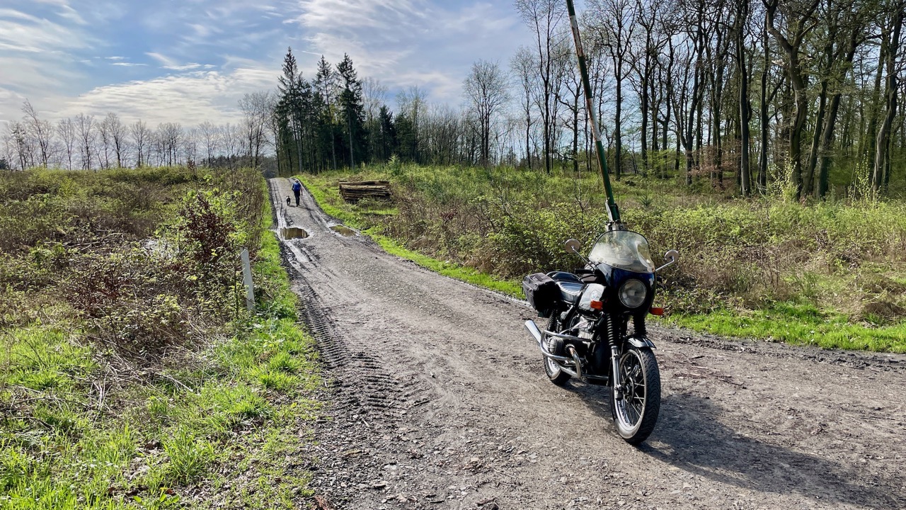 Wald bei Bramsche.jpeg