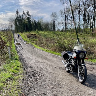 Wald bei Bramsche.jpeg