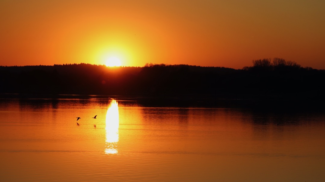 Sonnenuntergang am Alfsee (1).jpeg