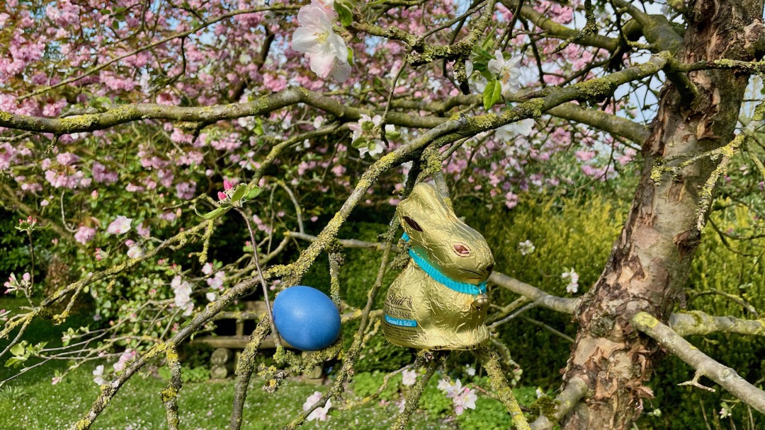 blaue Ostern.jpeg