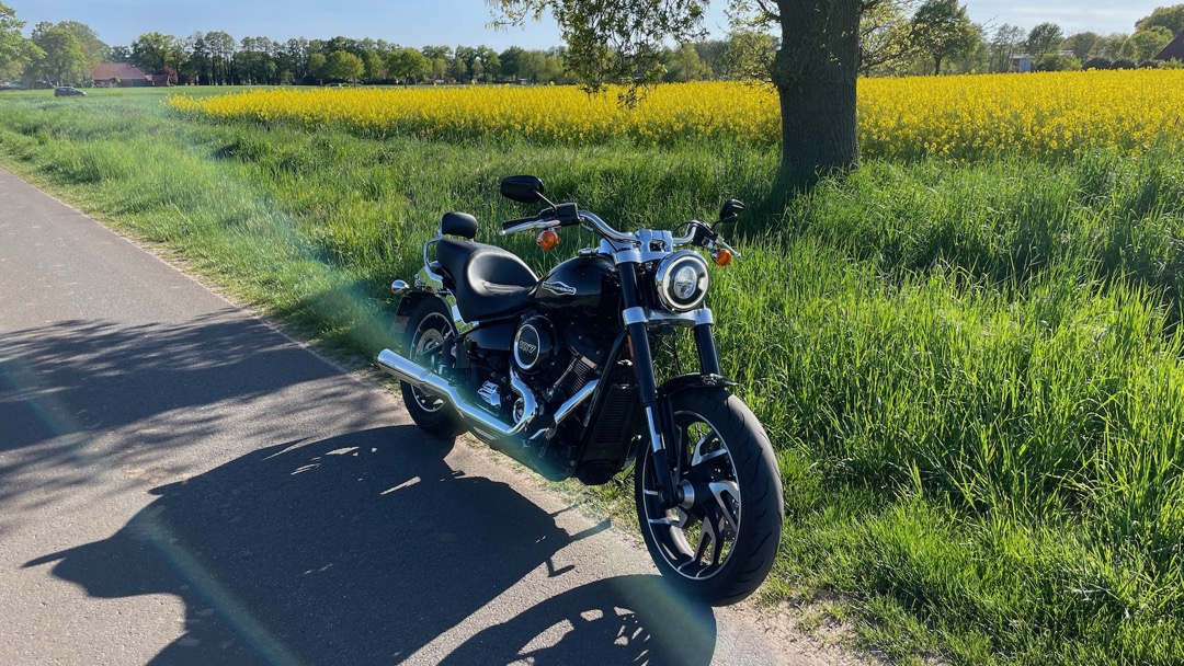 HarleyRaps25.jpeg