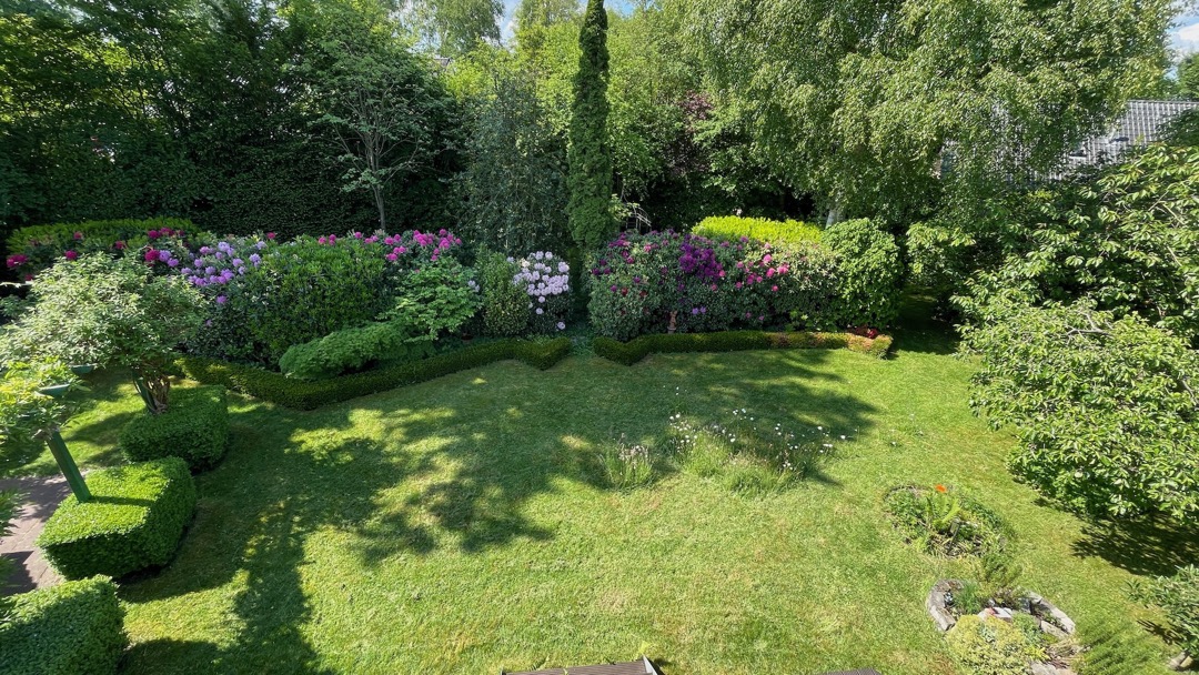 Rhododendronblüte25.jpeg