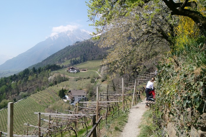 Rast über Algund