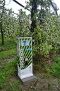 Palmenautomat