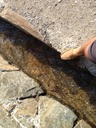 viel Wasser im Waal